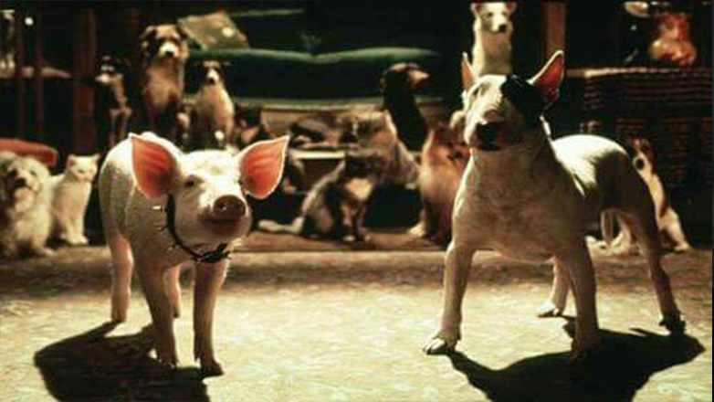 ดู Babe Pig in the City (1998) หมูน้อยหัวใจเทวดา